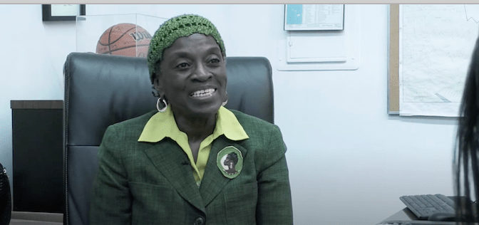 The City Builds The Van Sinderen Plaza, A New Housing Complex In ENY, Brooklyn