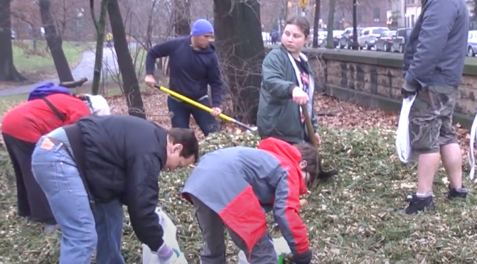 Annual Mulchfest Event At Prospect Park In Brooklyn